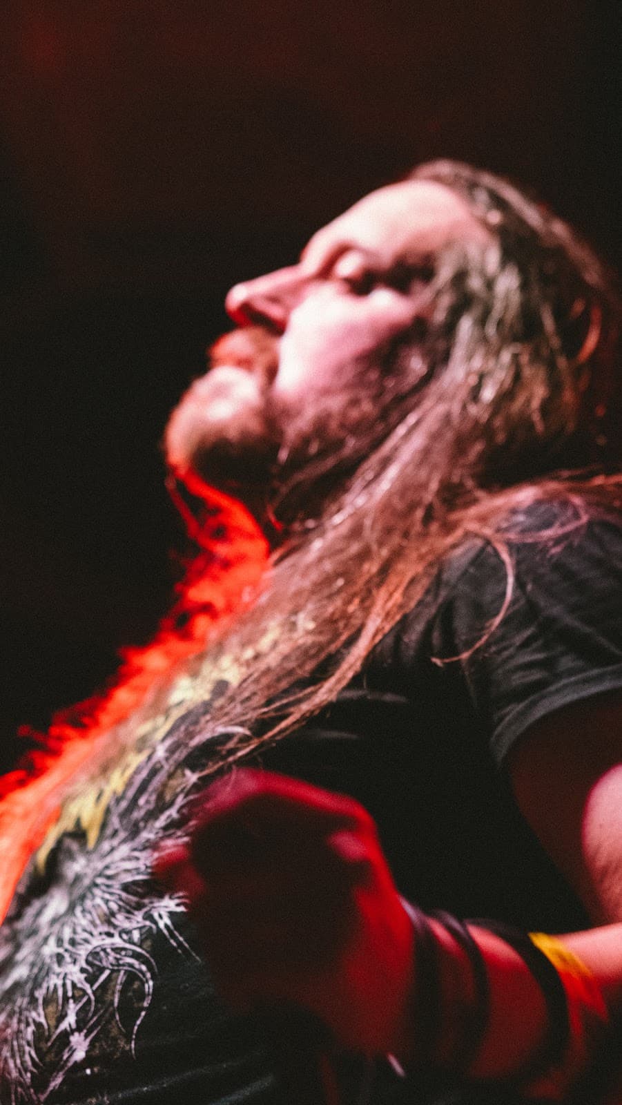 Concert Photography screenshot 27