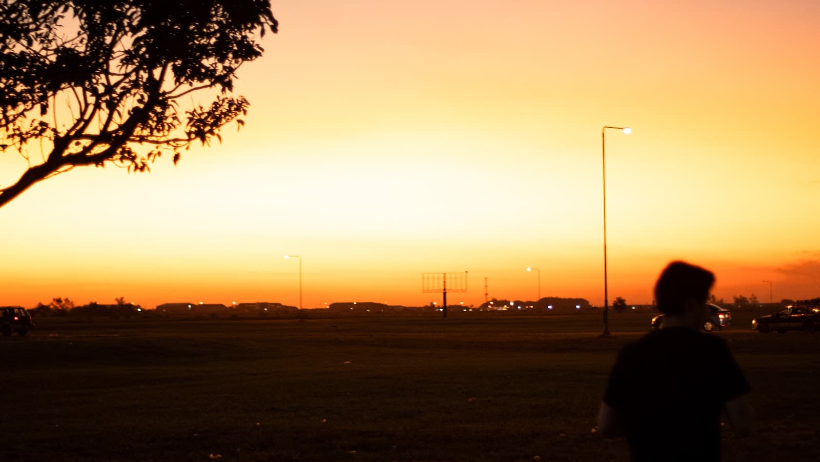 landscape and more