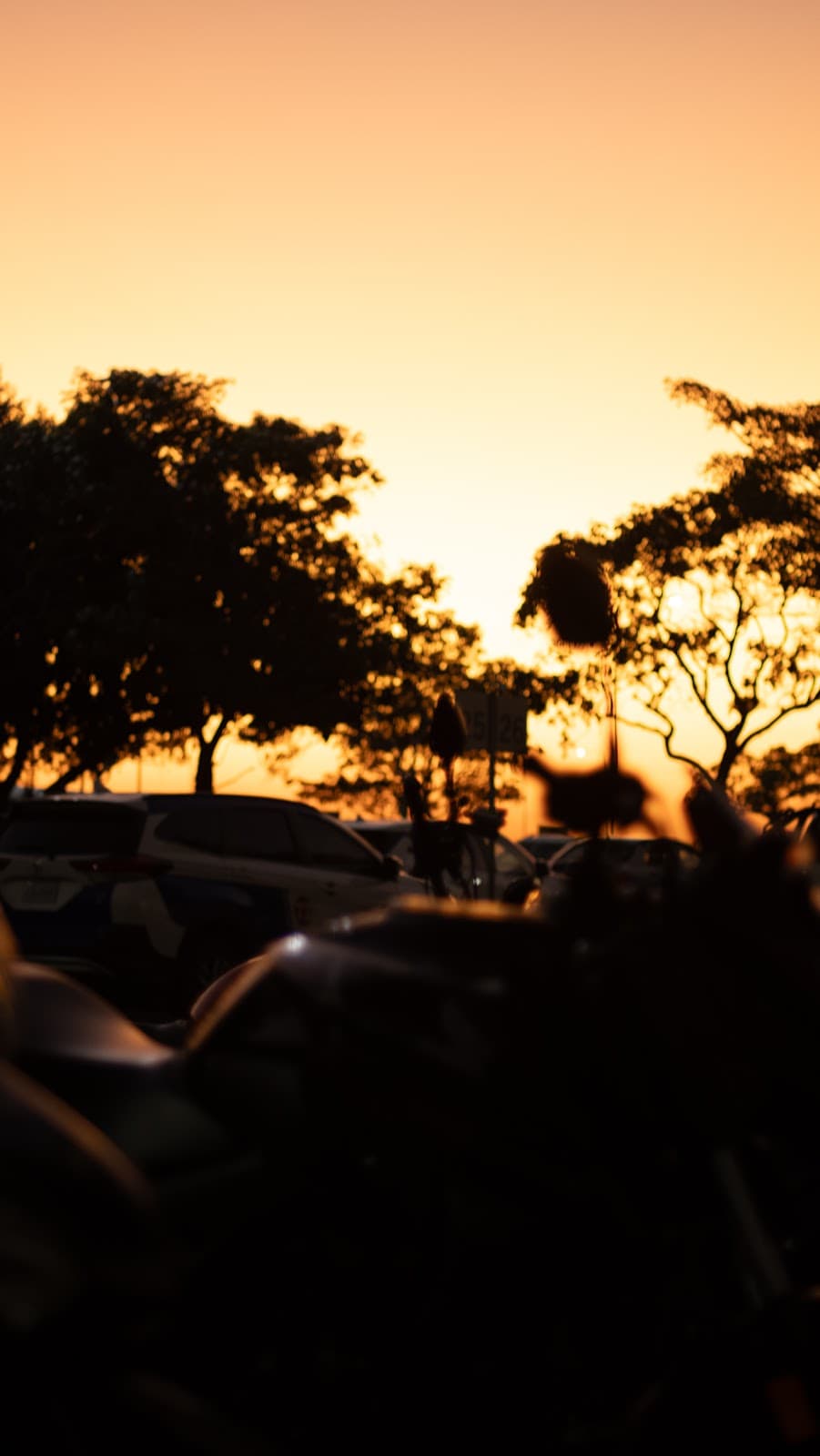 Buenos Aires screenshot 8