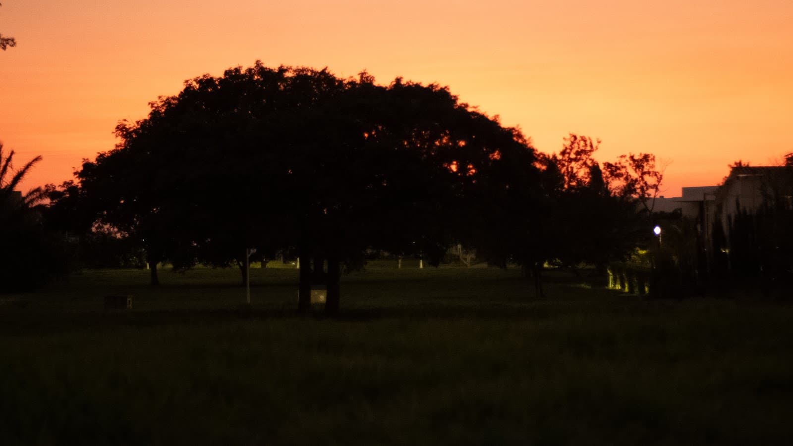 landscape and more screenshot 16