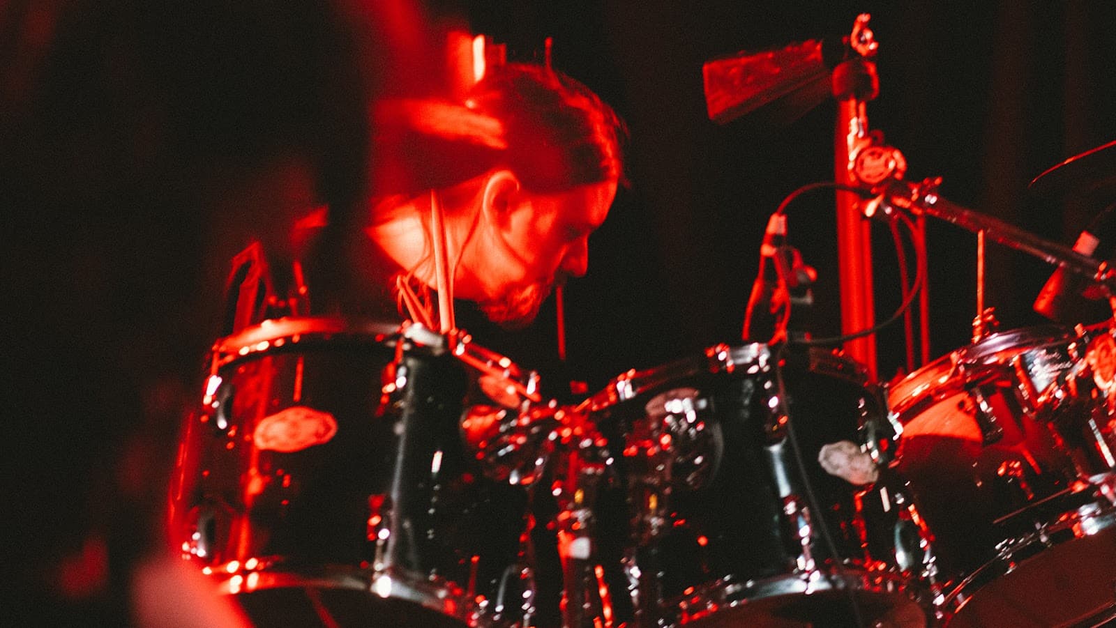 Concert Photography screenshot 12