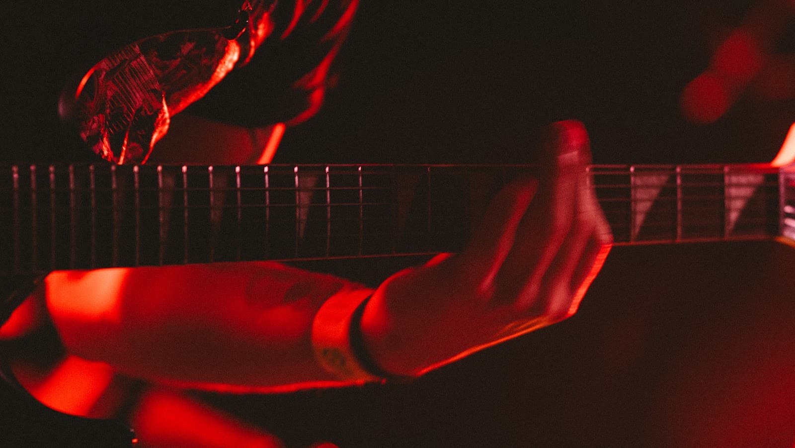 Concert Photography screenshot 25