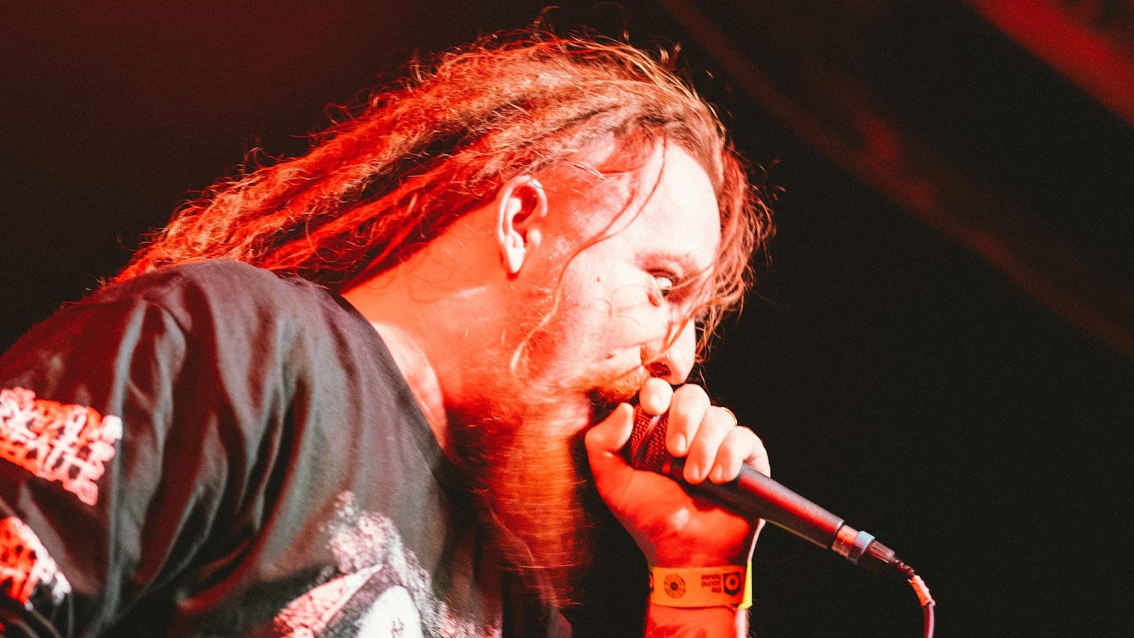 Concert Photography screenshot 24